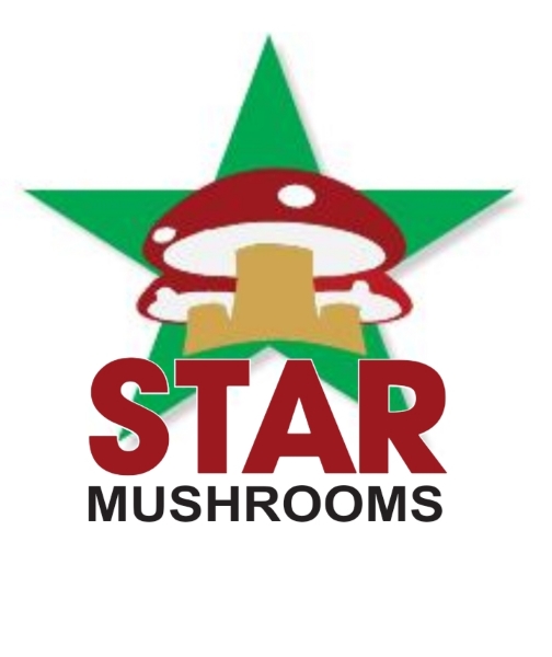 Star Mushroom